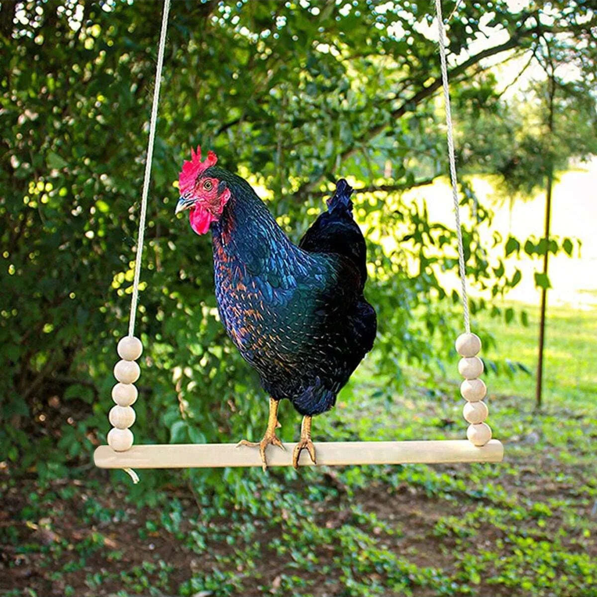 Backyard Barnyard Chicken Swing Handmade in USA!!! ! Toy for Coop (Round Bar) Natural Safe Large Wood Perch Ladder for Poultry Run Rooster Hens Chicks Pet Parrots Pollo Stress Relief for Birds